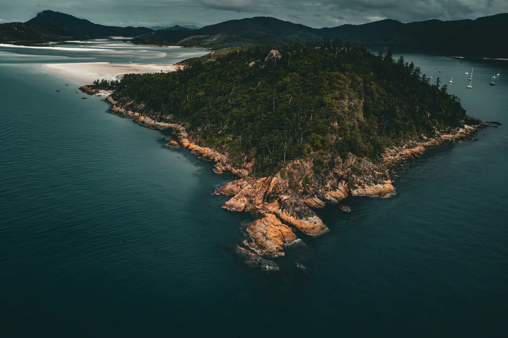 Aerial view of a forested island in a dark sea
